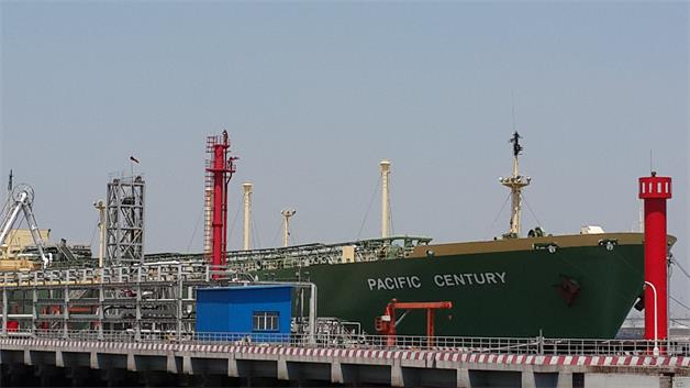 20140714_113145.jpg